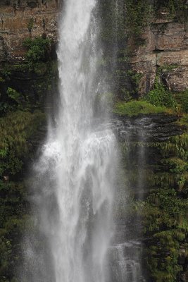 IMG_3816.JPG