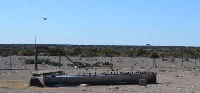 DSC_0187.JPG