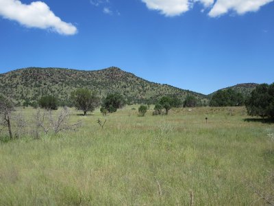 IMG_1031.JPG