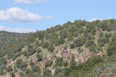 IMG_4970.JPG