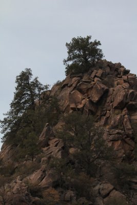 Chisos Basin_1332.JPG