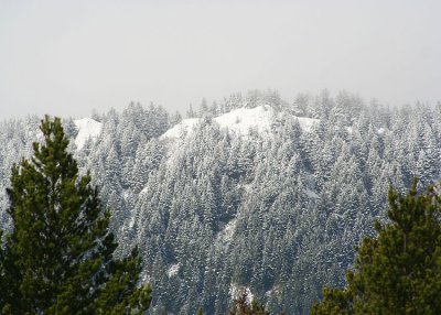 neakahnie after hail