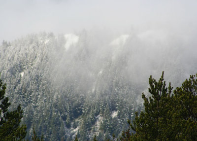 neakahnie in the mist