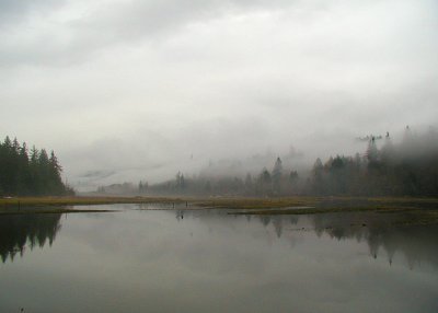 17 clouds and mist on the tahuya