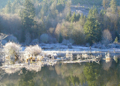 24 frost on the tahuya