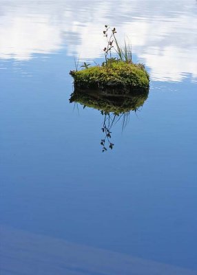 15 floating island