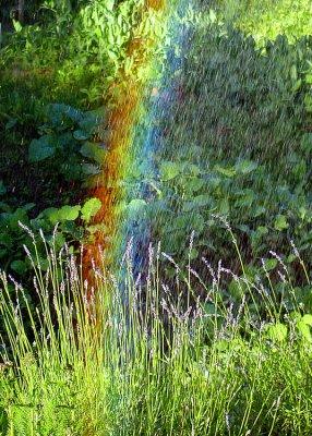 Garden Rainbow