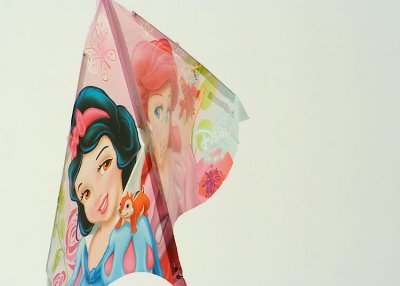 15  the princess kite
