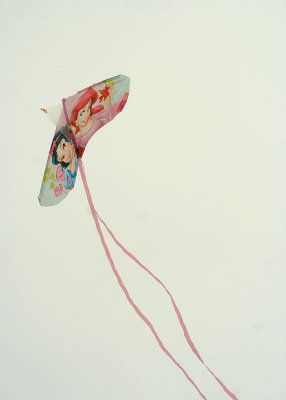 14 kite in a grey sky