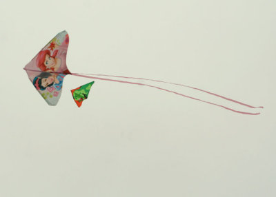 12 kites in a grey sky