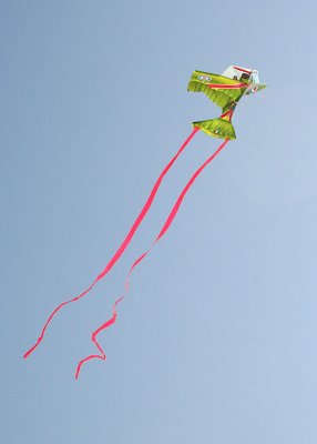 11 kite in a blue sky