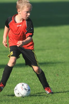 IMG_1278.jpg
