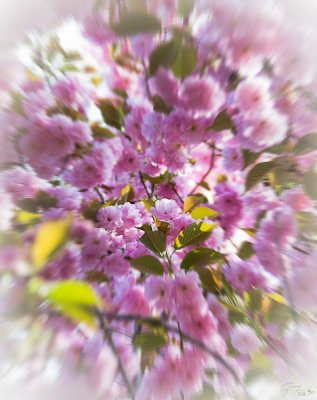 Lensbaby_fake_sm.jpg