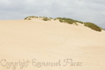 Fuerte2011- 016.jpg