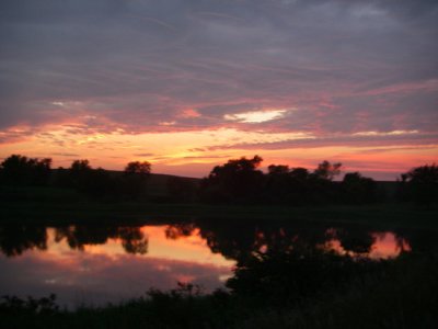 pond sunset b 550.jpg