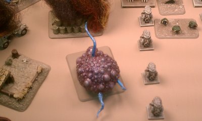 IMAG0052.jpg