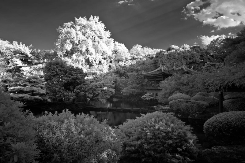 IR5D-7684web.jpg