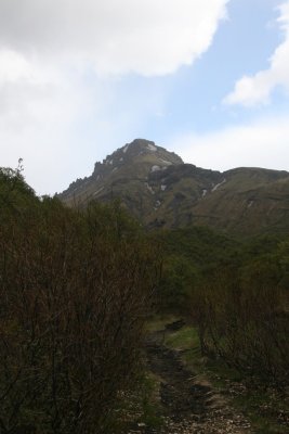 tignguhfi