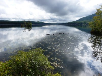 Moose Pond