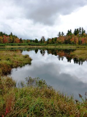 fall on pond