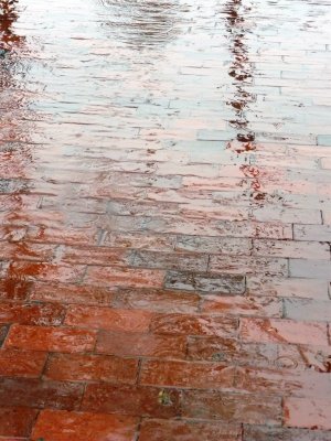 Rain on the street