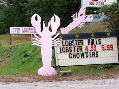 Pink lobsters