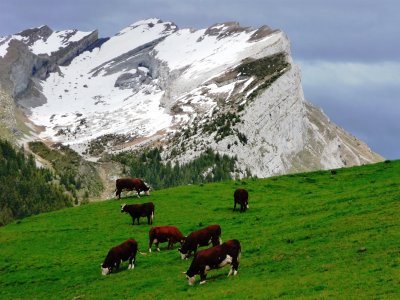Haute-Savoie and Alps