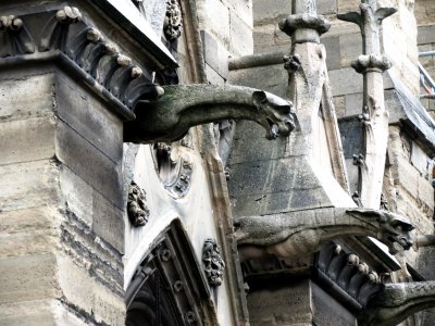 gargoyles on Notre Dame