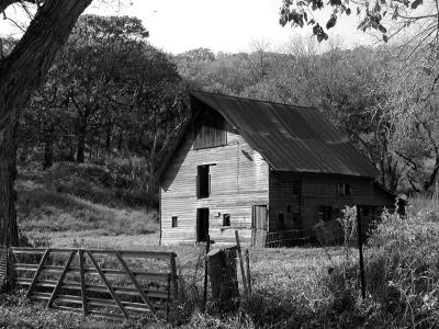 barn bw.JPG