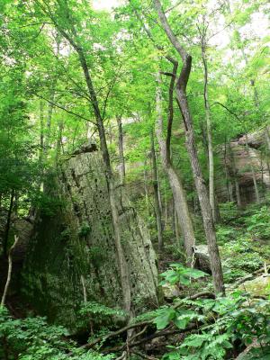 boulder in woods.JPG