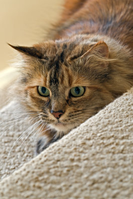 Annie on the Stairs