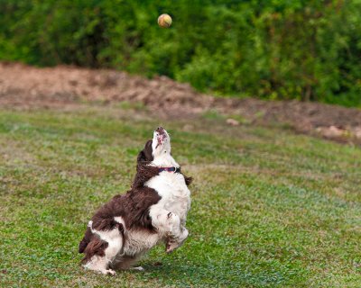 I Got It, IGot It!