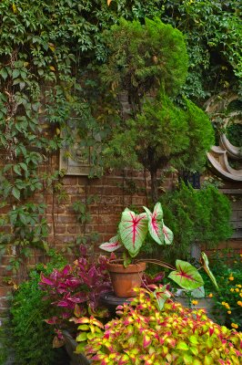 Garden Patio - Foley House