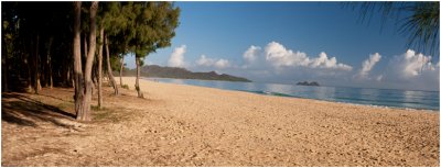 Jon Root, Bellows Beach