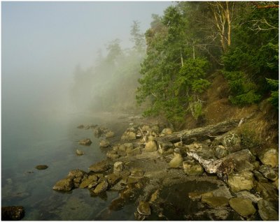 Jon Root, Montegue Harbor Morning