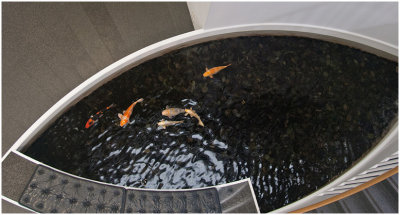 Ken Hales, Fish at the Museum