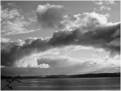 Paul Brians, Cloud Arch