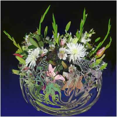 Suelyn Wong, A Virtual Vase