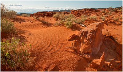 Sue DeArman, Desert View