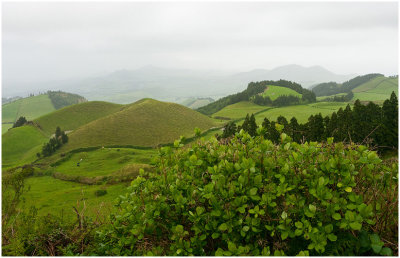 Stan Johnston, Green Hills of Earth