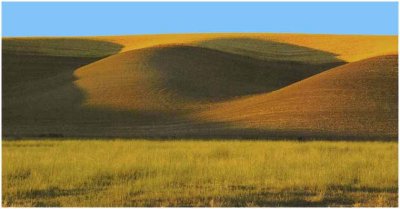 G_WagonerR_Palouse Hills.jpg