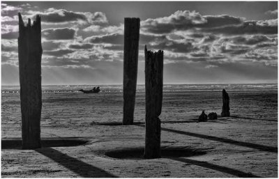 S_DeArmanS_Old Pilings At PacBeach.jpg