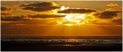 S_DeArmanS_Sunset At Pacific Beach.jpg
