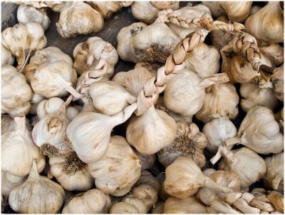 G_BriansP_Garlic.jpg