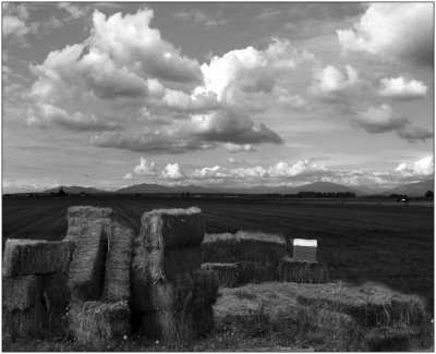 G_MatthewsD_Black and White and Lunch.jpg