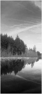 G_MatthewsD_REFLECTION.jpg