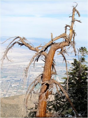 G_MuhrleinHar_Coachella Vallley Overlook.jpg