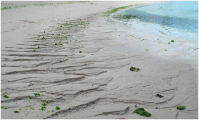S_FarleyC_Early Morning Beach.jpg