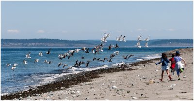 S_HalesK_Comings and Goings at the Sea.jpg