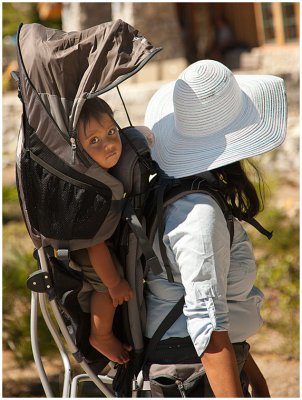 S_MatthewsJ_Kid Transporter.jpg